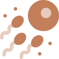 Calculator Image